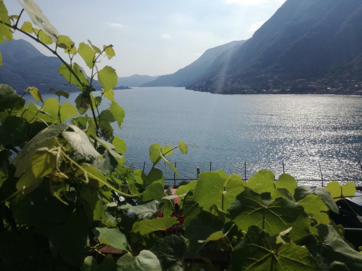 Panorama Apartment Pognana Lario Екстериор снимка